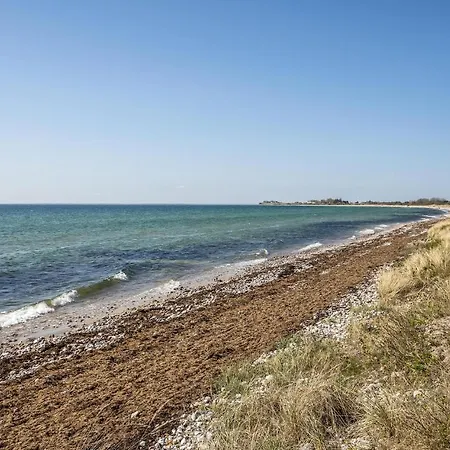 Laerkemose Ix * Skovmose